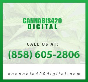 Cannabis Dispensary Marketing: Making Your Business a Stand out